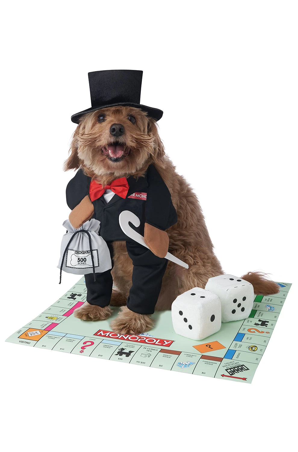 Mr. Monopoly Pet Costume