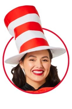 The Cat In The Hat Adult Hat